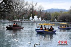 春暖拉萨 古城春意浓