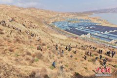 黄河上游“小三亚”青海尖扎：全民植树护生态 守护清水向东流