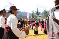 西藏林芝桃花节激活文旅新活力